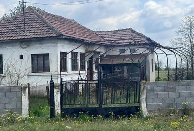 Casă cu 3 camere cu Teren 2504 Mp în Central