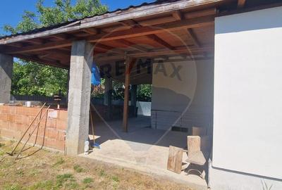 Vila P+M 4 camere in Zimand nou - 9