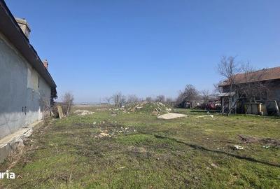 Teren de 5000 mp, în Rovine