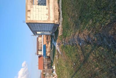 Vand Casa Boc?a Romana. cititi descrierea inainte sa sunati. - 2