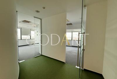 Birou, de 416.89999389648 mp, în Băneasa - 11
