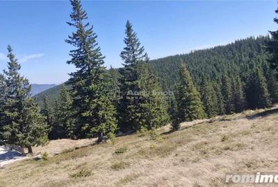 Casă cu 12 camere cu Teren 1000 Mp în Români - 3