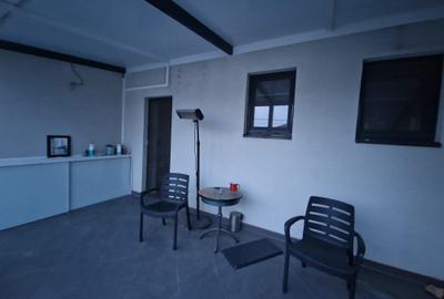 1/2 Duplex, Dumbravita - Creanga, 295000E - 19