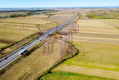 Teren Construcții extravilan de 31700 mp, în Uliești - 2