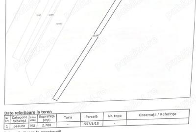 Teren de 2700 mp, în Cerbu - 4