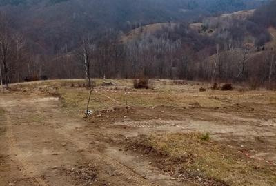 Teren de 10000 mp, în Lepșa - 6