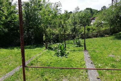 Casa si teren la Provita de Jos - 4