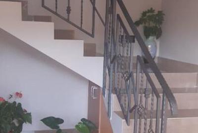 Cartierul Sasar, casa 17 ari teren - 5