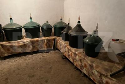 Casa spatioasa de vanzare in Rasinari, Sibiu - 4 camere, pivnita, demisol, curte - 13