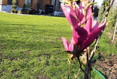 Casă cu 5 camere în Central - 2