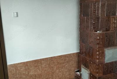 Casă în Aluniș - 4