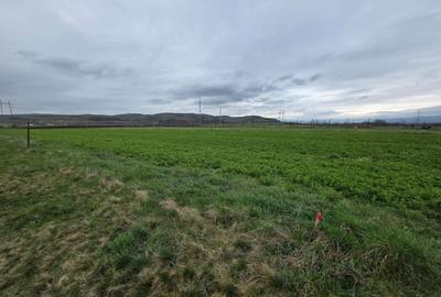 Spațiu comercial, în Șard - 1