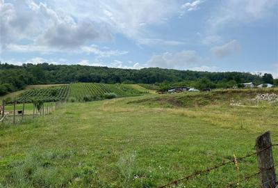 Teren Construcții intravilan de 3750 mp, în Tomești - 6