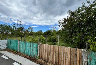 Casa + teren 4430 mp, vie si pomi fructiferi, 22 km de Tecuci - 26