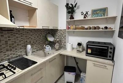 Inchiriere Apartament 2 Camere Centrala Proprie Nusco Citta - 6