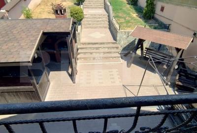 Casa P+M, 418 mp curte, 150mp util, parc Romanescu  Extensiv - 3