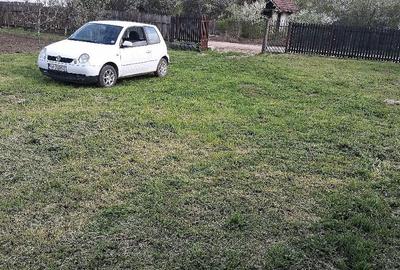 Teren de 800 mp, în Limpeziș - 6