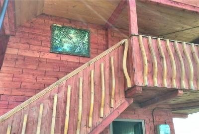 Casă cu Teren 6000 Mp în Câmpeni - 2