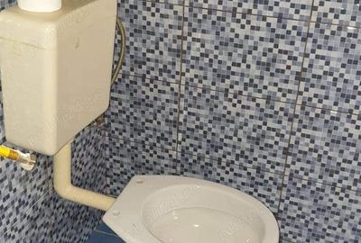 Casă cu 3 camere cu Teren 1200 Mp în Mehala - 5