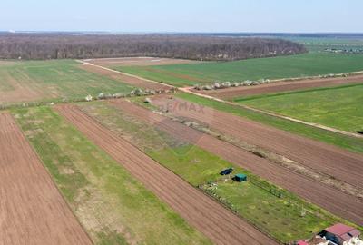 Teren Construcții intravilan de 500 mp, în Săbăreni - 14