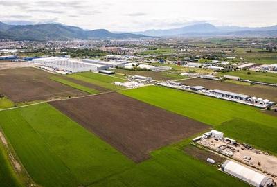 Teren agricol intravilan de 10000 mp, în Griviței - 3