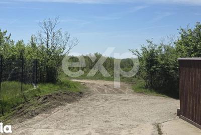 Teren de 3015 mp, în Moșoaia - 2