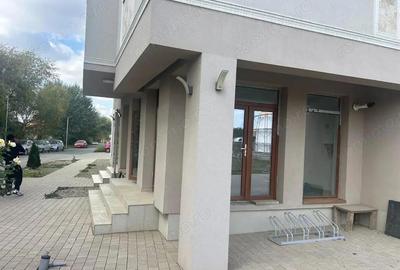 Spațiu comercial, de 30 mp, în Giroc - 3