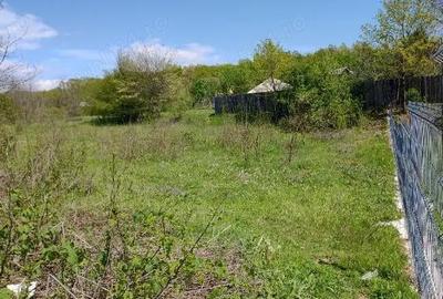 Teren de 3050 mp, în Plopu - 2