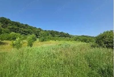 Teren Duda Epureni, ID: R2609594 - 5