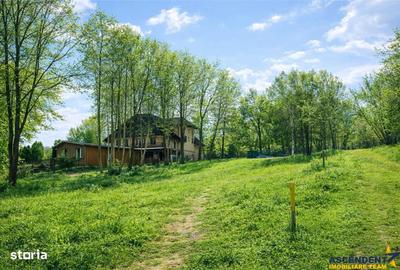 Spațiu comercial, în Predeluț - 11