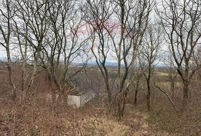 Teren agricol extravilan de 2900 mp, în Independenței - 1