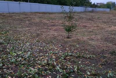 Teren intravilan in comuna Cîrligele jud Vrancea cu suprafață de 750mp - 1