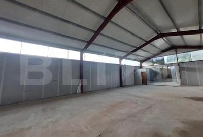 Hala De Inchiriat, 250 mp, zona Rombat - 5