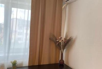 Garsonieră în Gorjului - 9