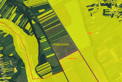 Teren agricol extravilan – deschidere directă DN1 – Bănești, Prahova - 3