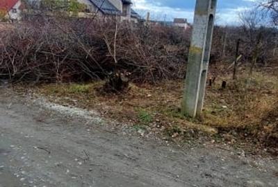 Teren Intravilan suprafata 1000mp, spre vanzare in Daia Noua - 1