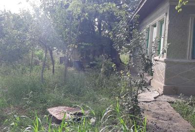 Casă cu 4 camere în Amara