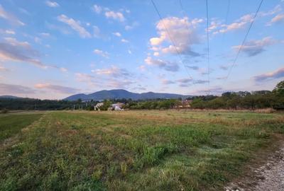 Teren în Alexandru cel Bun