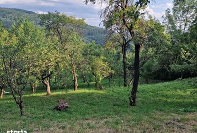 Teren de 2000 mp, în Poiana