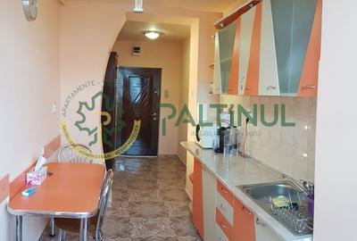 Apartament cu 2 camere semidecomandat, mobilat în Mihai Viteazul - 8