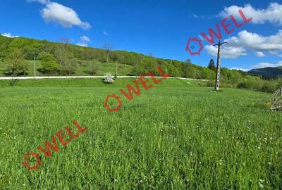 Teren extravilan de 6500 mp, în Zăbrătău - 8