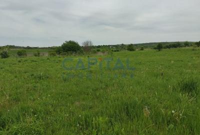 Comision 0%! Oportunitate, teren intravilan, 800 mp Masterplan, Sopor - 4