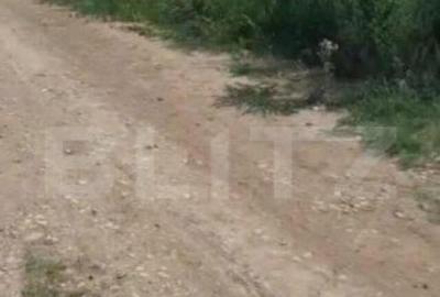 Teren de casa, 450 mp, in comuna Berceni - 1