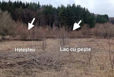 Spațiu comercial, în Negrești - 3