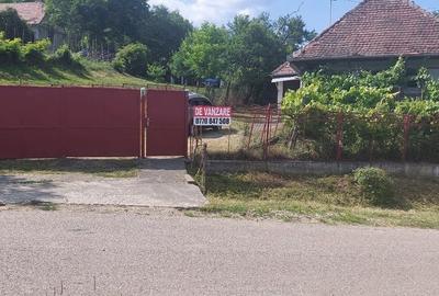 Vând casă