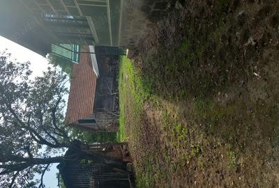 Vand casa in satul Talagiu - 2