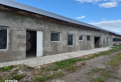 Spațiu comercial, de 400 mp, în Budacu de Jos - 2