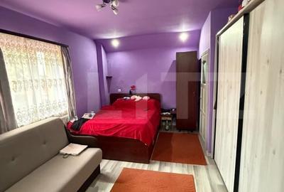 Casa Individuala cu 1.723 mp Teren si Livada, Zona Grigorescu - 3