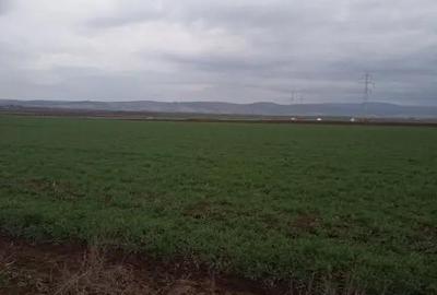 Teren de 3958 mp, în Ozun - 1