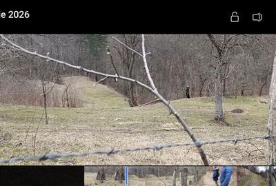 Teren de 4197 mp, în Valeapai - 3